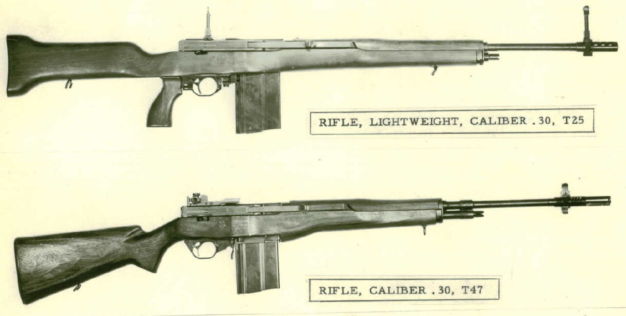 No MORE Compromise with the 2nd Amendment, swamp, men rights and NP