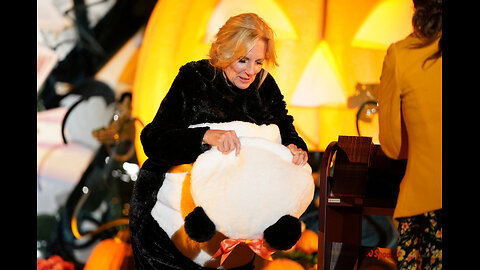 Why Was "Dr." Jill Biden Dressed As A Panda For Halloween?