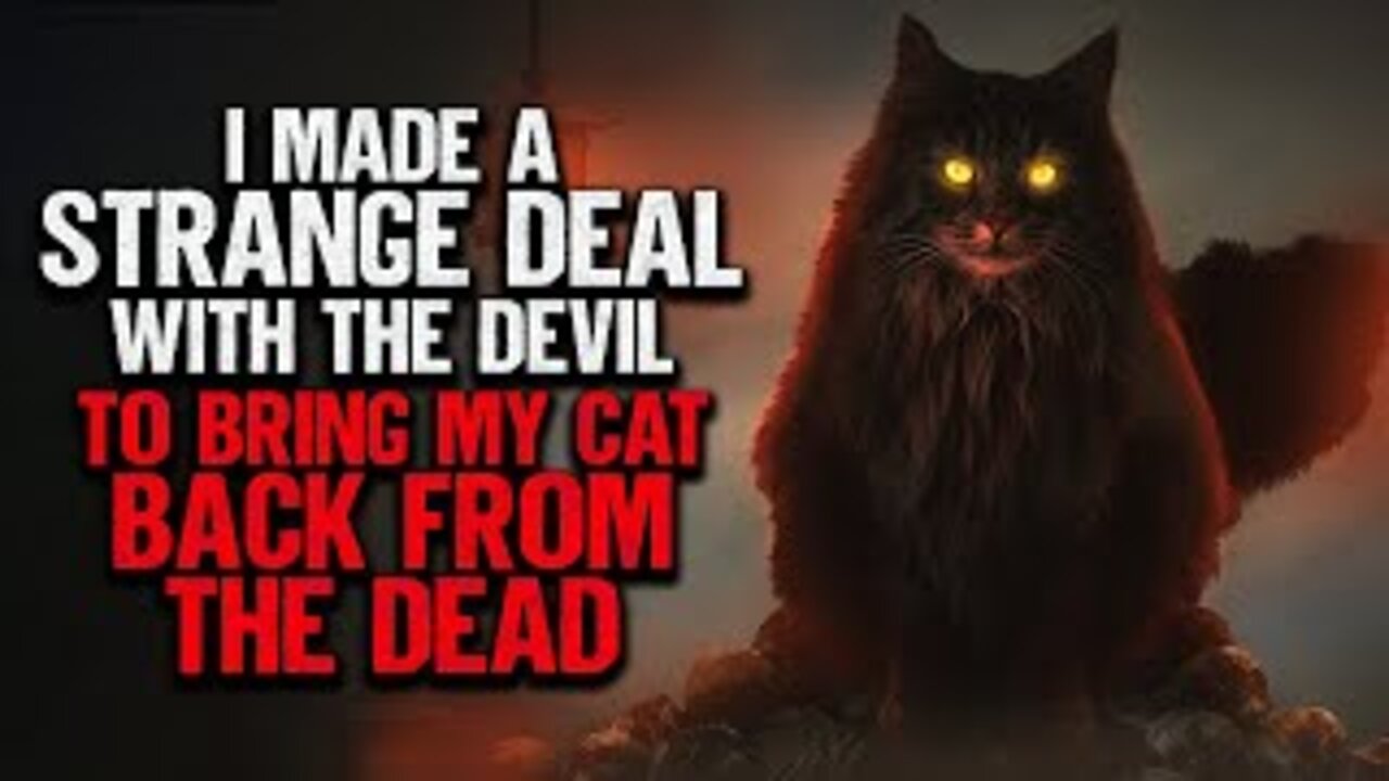 "I Made A Strange Deal With The Devil To Bring My Cat Back From The Dead" | Creepypasta