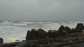 Waves crash along the shore in British Columbia