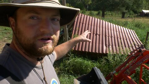 Getting Started On The Cow Shelter