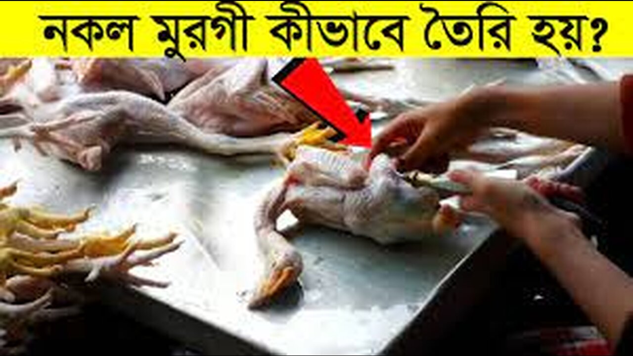 দেখুন বাজারে নকল মুরগী কিভাবে তৈরি করা হচ্ছে ! সময় থাকতে ভিডিওটি শেয়ার করুন - মায়াজাল