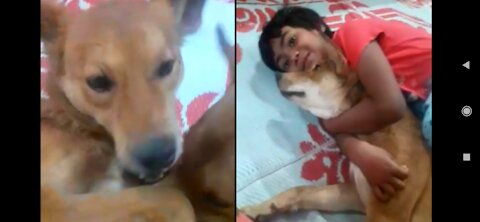 Me and My Dog Playing together