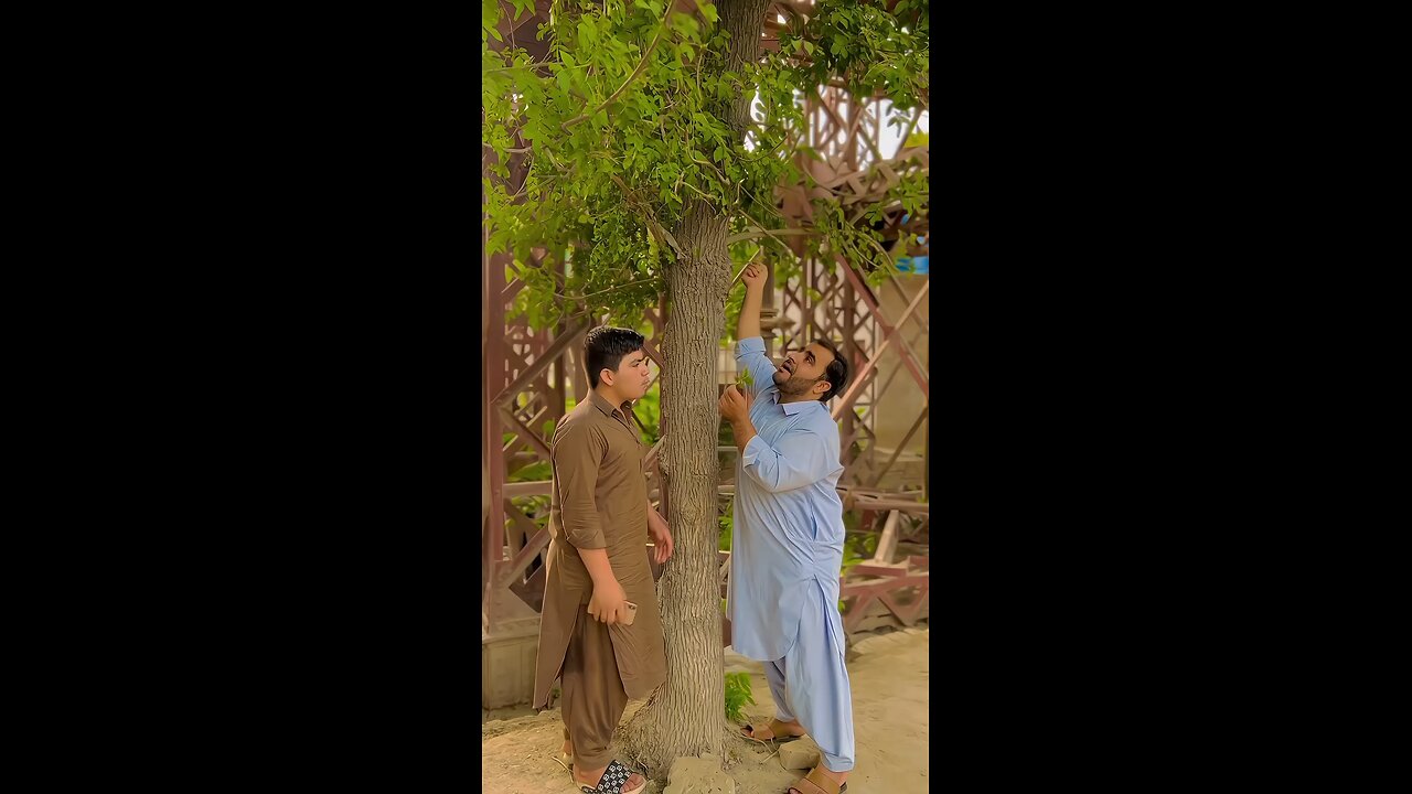 follow funny video