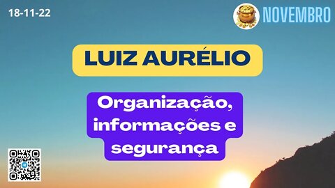 LUIZ AURÉLIO Organização informações e segurança