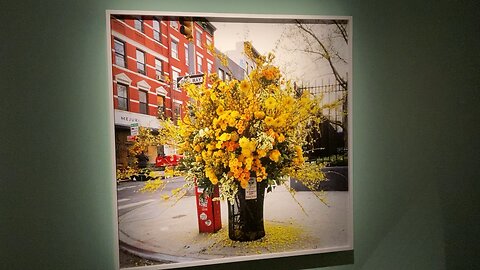 Louis Miller - Fotografiska Museum NYC