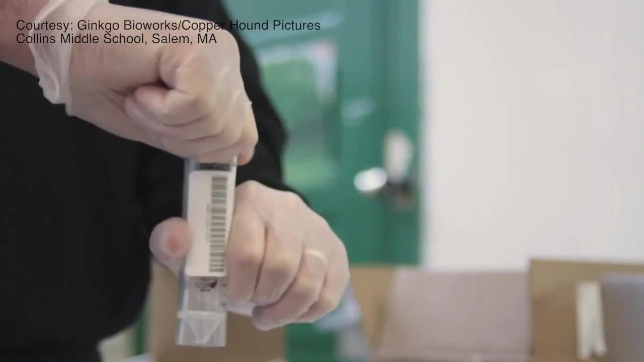 City Schools identifies 13+ COVID cases through asymptomatic testing