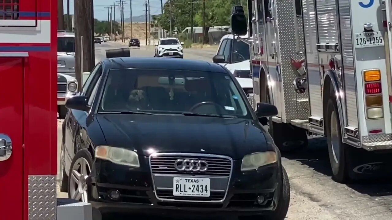 Employee Has a Ruff Day After Backing Customer's Pickup Into Fido's Audi