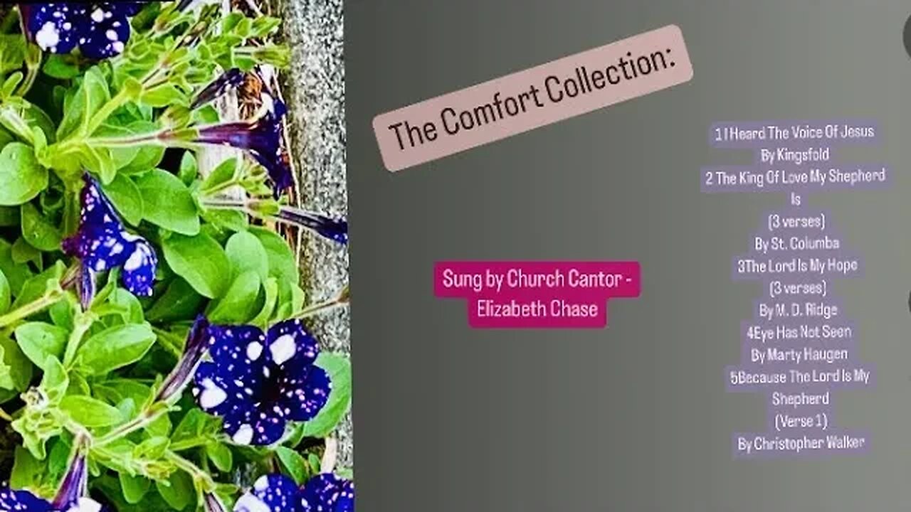 The Comfort Collection