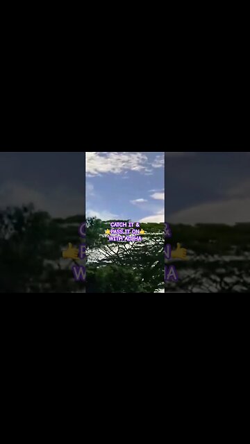 🤙“SHAKA” WITH ALOHA🤙 #aloha #shakakauai