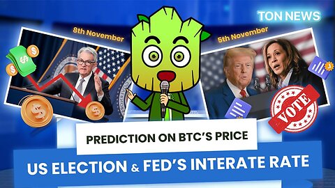 Bitcoin Price: US Election & FED’s Interest Rate Effect | TON News