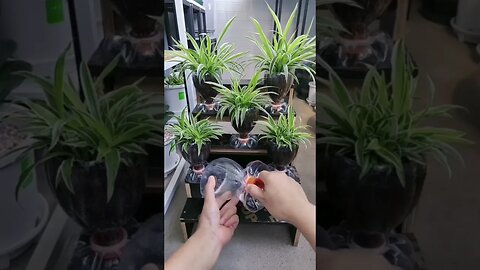 Recycling Empty Bottle @ @everyone #everyone