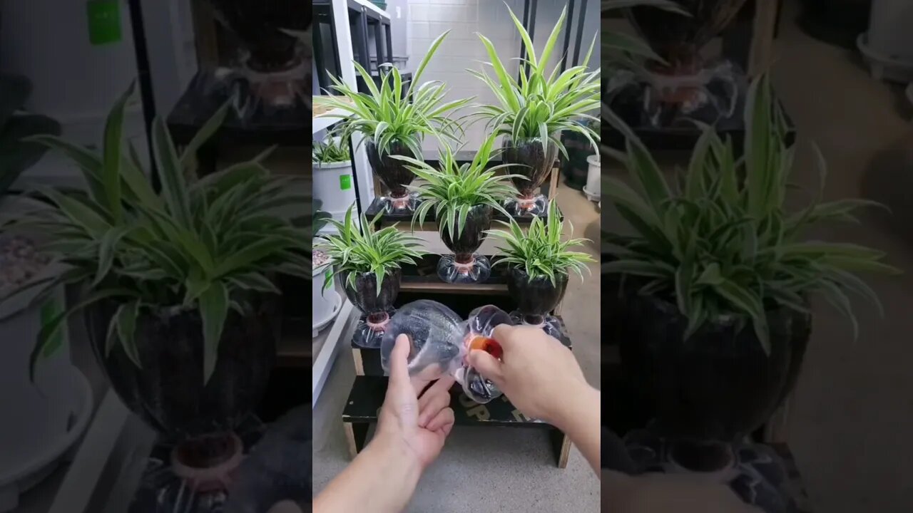 Recycling Empty Bottle @ @everyone #everyone