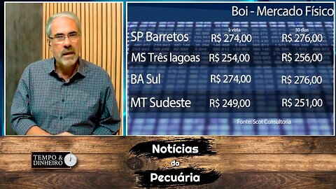 Boi gordo largado à espera de fôlego e reação em 2023