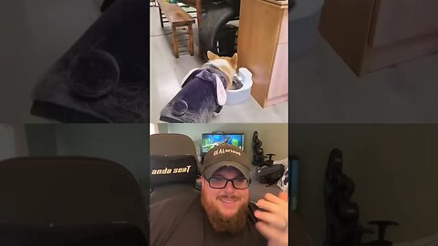 Here’s Your Dose Of REALarious…🤣🤣🤣