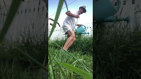 Watering the Plants in Style