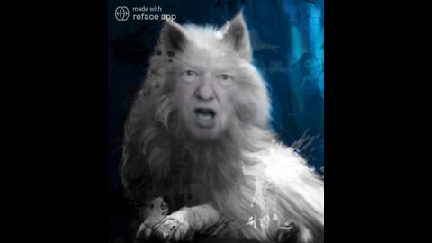 Motivational Donald Trump Wolf Meme! 🐺