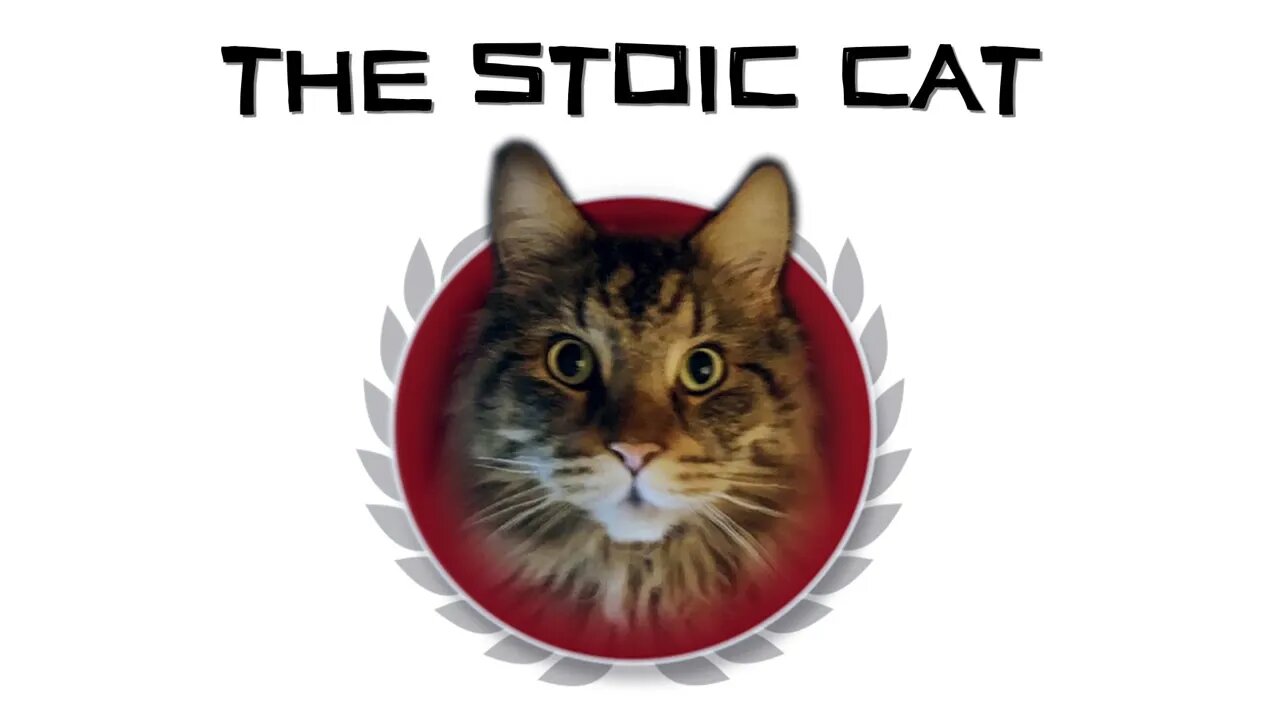 Welcome to The Stoic Cat!