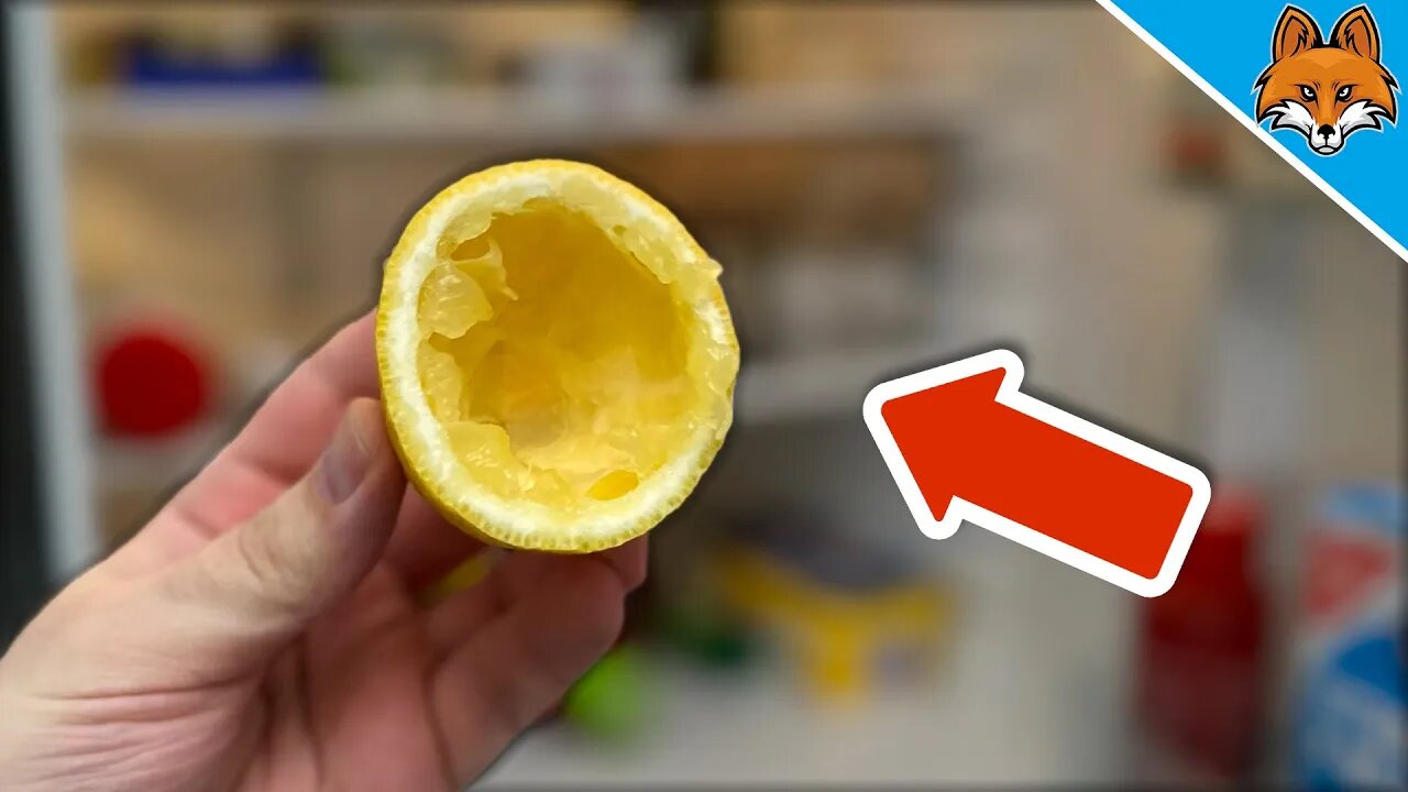 Put Lemon Peel in your Fridge and you´ll THANK ME FOREVER💥(Genius)🤯