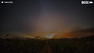 Vidéo accélérée des feux de forêts les plus dévastateurs en Californie