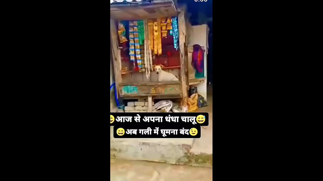 follow Karo gayis sport gayis yarr my channel world