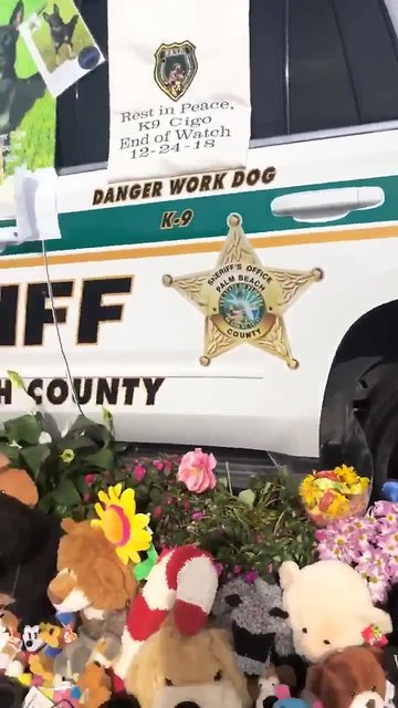 Memorial service for PBSO K-9 on Thursday