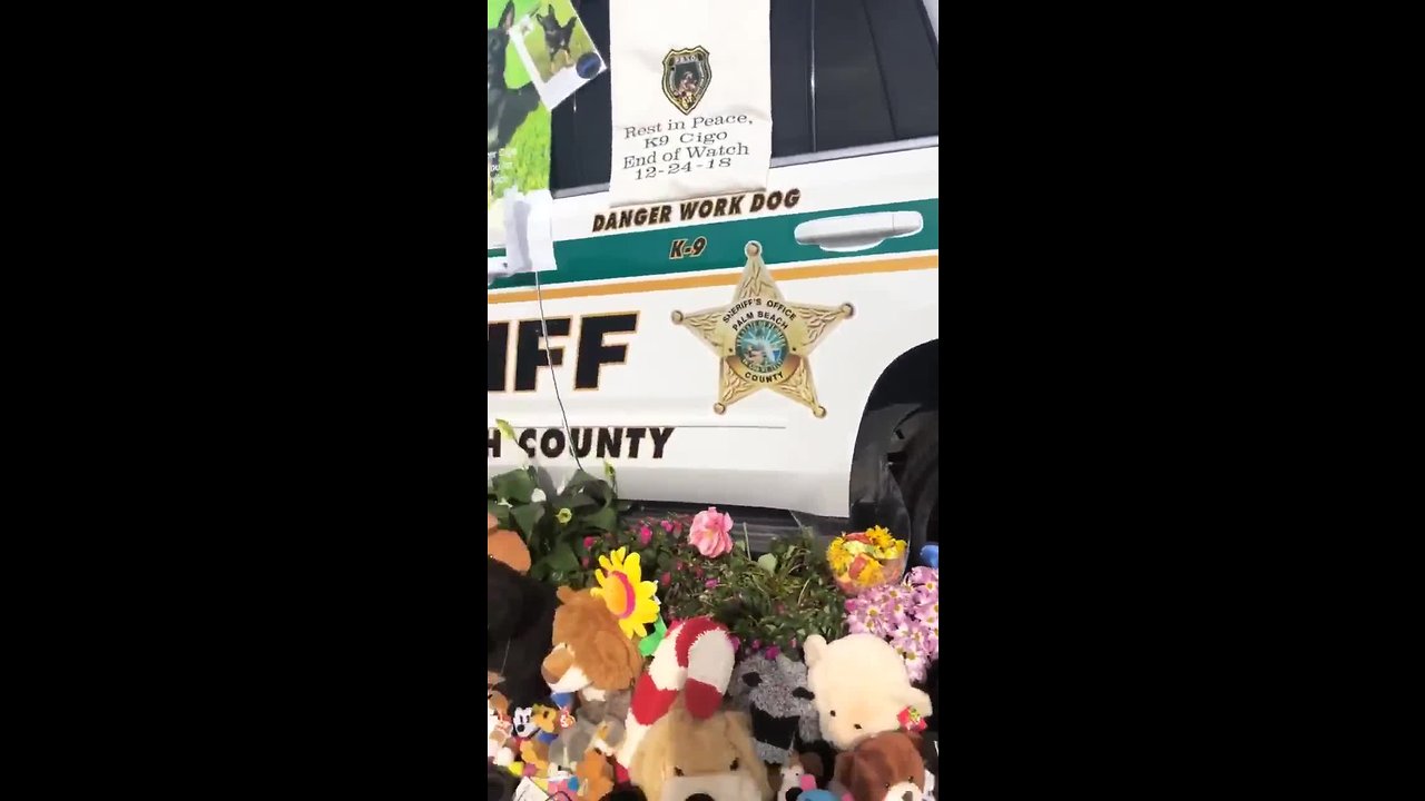 Memorial service for PBSO K-9 on Thursday