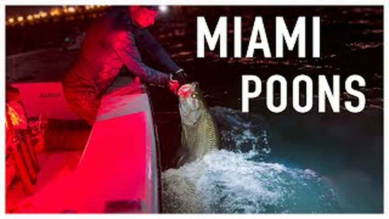 Big Tarpon Fishing With Swimbaits | Z-Man Mulletron