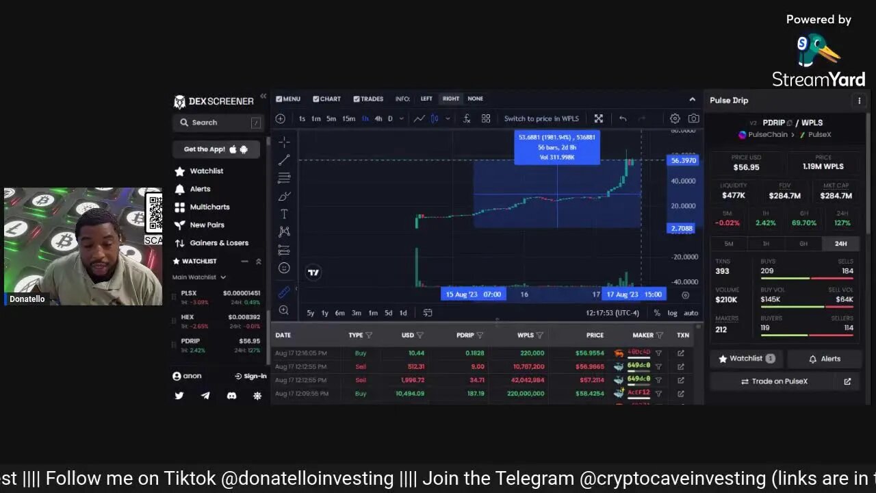 Navigating the Bearish Market: Strategies and Insights! 🐻📉