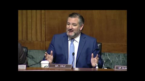 Cruz in Judiciary: Dems are at Odds With 'Vast Majority of the American People' on Voter ID Laws