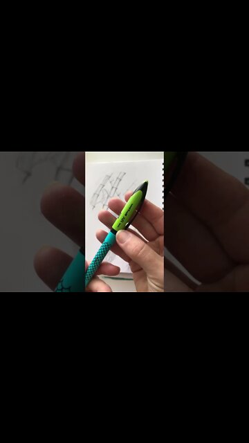 Panda Sketch #pandas #sketching #watercolor #fridayvibes #coloring #dreamingtabitha