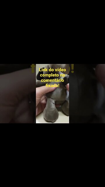 TUDO DO ALIEXPRESS E POR MENOS DE 20 REAIS! Mouse Ergonômico, Pendrives, Meias All Star, Elefante...