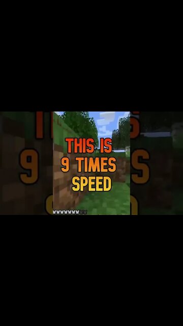 Minecraft Carrot Hunt