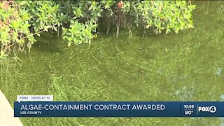 Cost of blue green algae cleanup of 2018