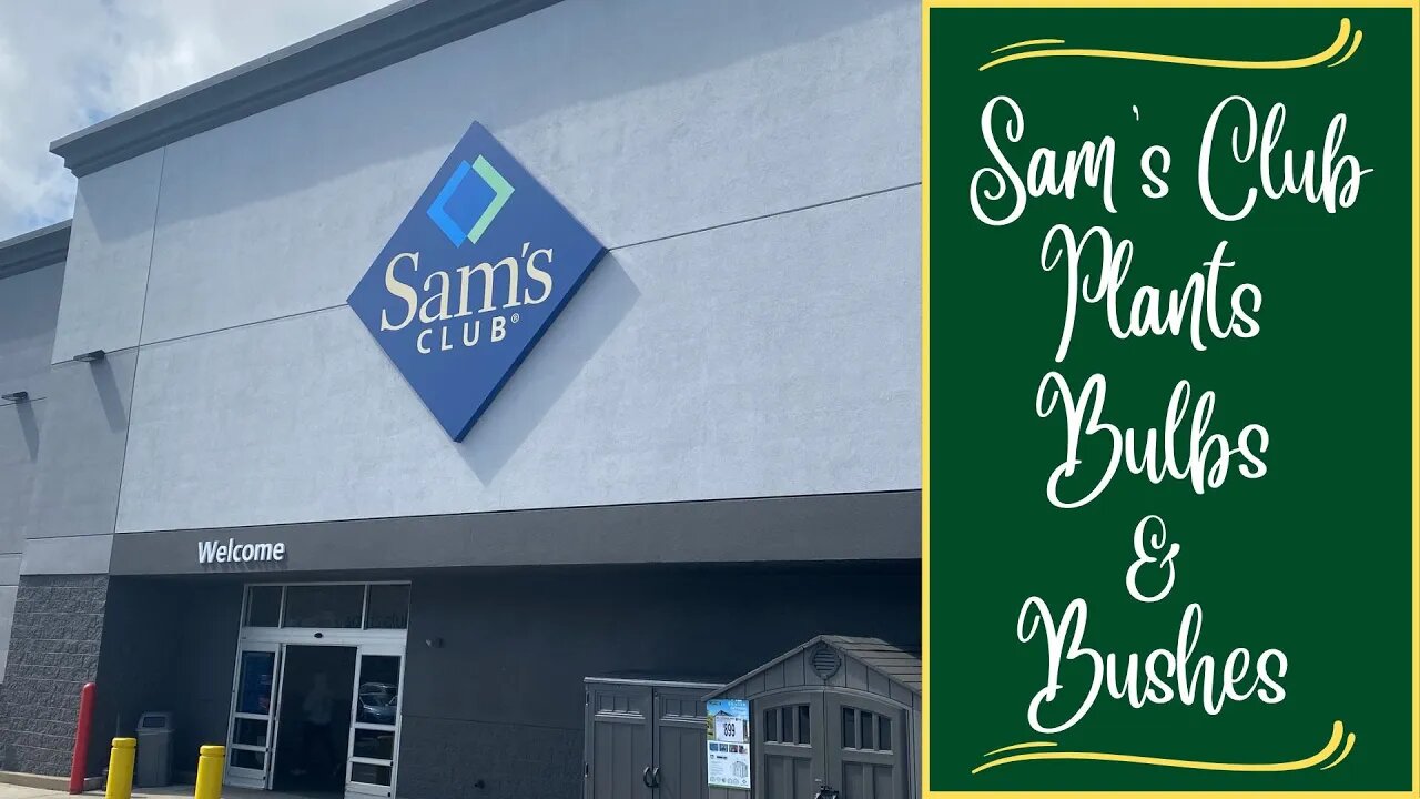 Sam's Club ~ Plants, Bulbs & Bushes!