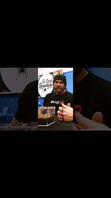 Rehousing a CENTIPEDE with Johnny Venom!