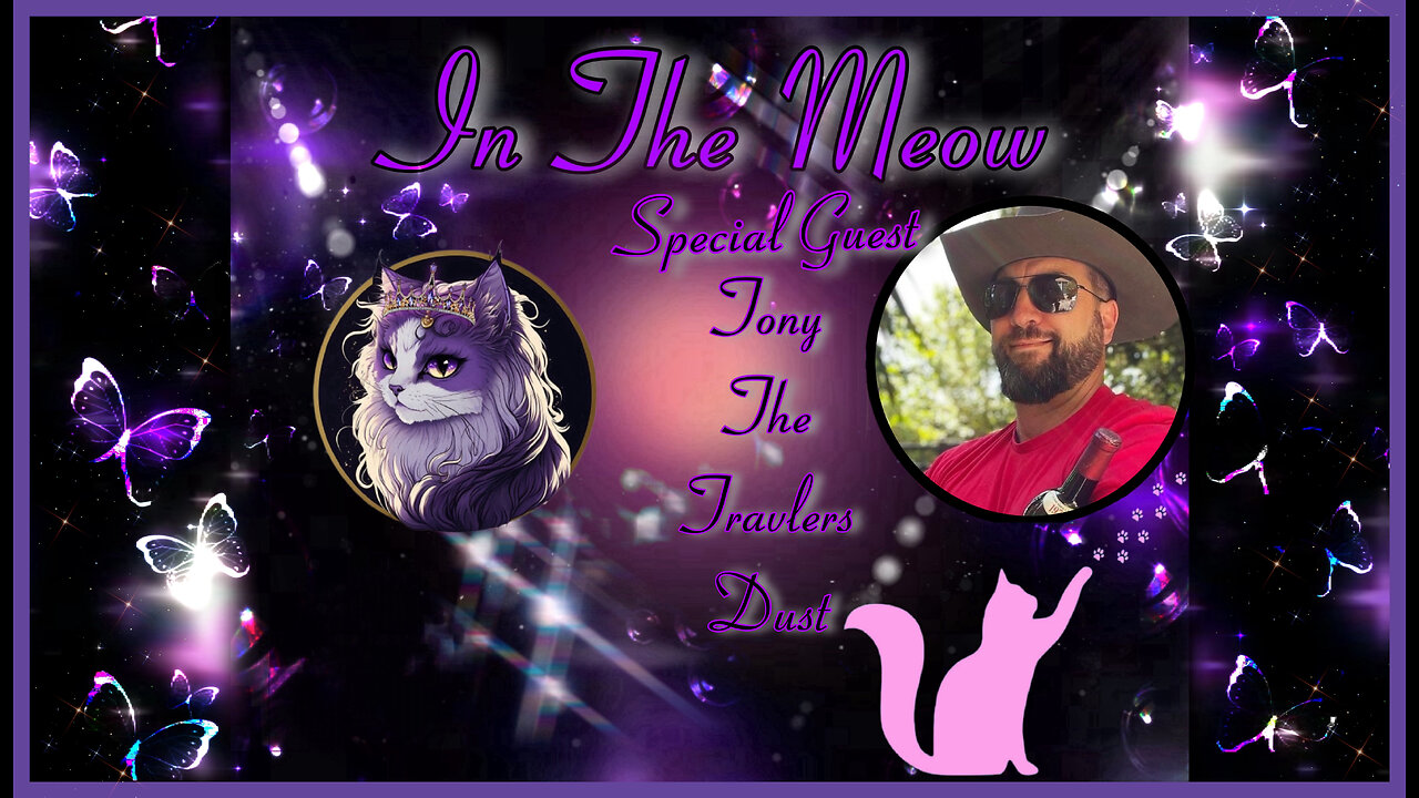 In The Meow | With Special Guest Tony the DUSTMAN