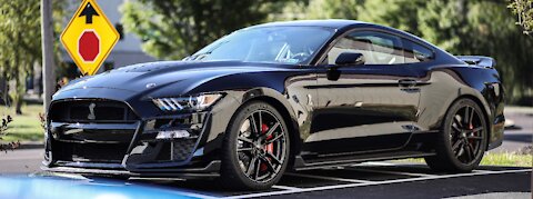 Dyno run on a 2020 GT500 Mustang