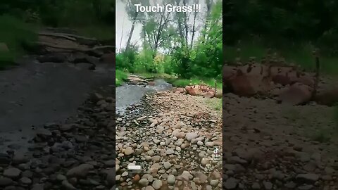 Touch Grass!!! #river #gaming #nature #beautiful #love