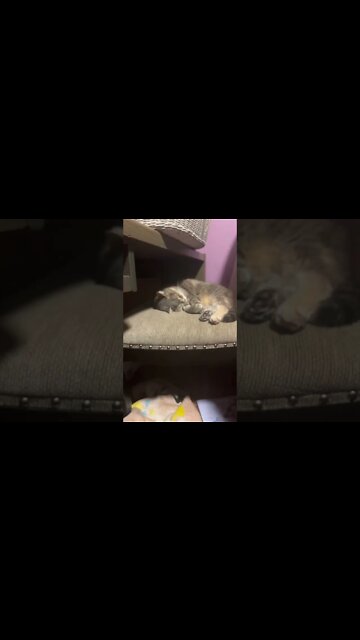 Let IT the he’ll go :)