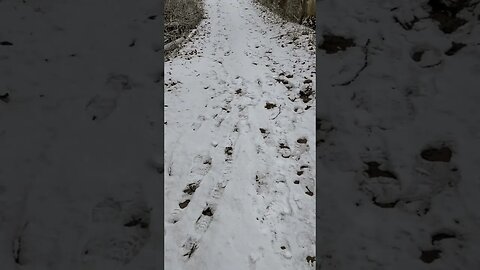 Hiking on the Wood Duck Trail at the Nature Center!