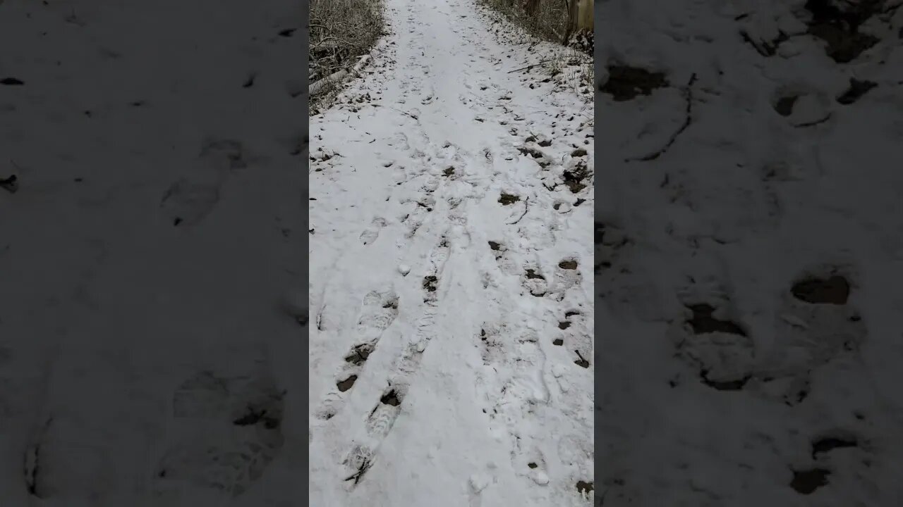 Hiking on the Wood Duck Trail at the Nature Center!