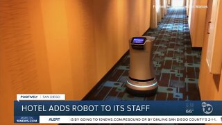 Hotel in San Marcos adds robot to its staff