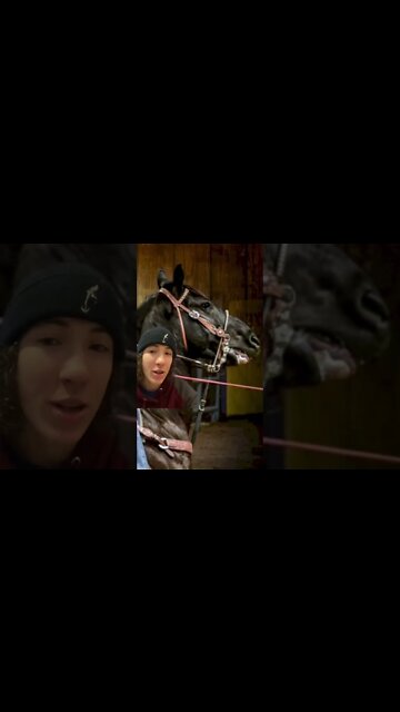 NFR Roper Junior Noguiera Bad Horsemanship