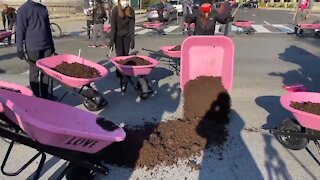 Climate Protestors Dump Cow Manure on Street in Front of White House