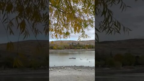 Cottonwood lake is almost dried in the fall. #shorts