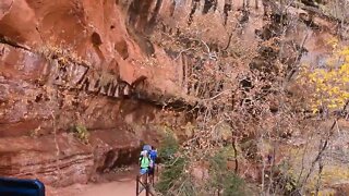 Lower Emerald Pool Trail in Zion National Park