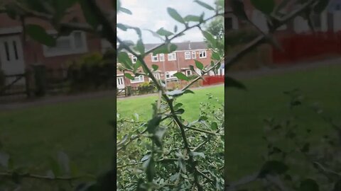 #veiws_viral_video_subscribers_grow #clip one last look at Saturday night 🌙