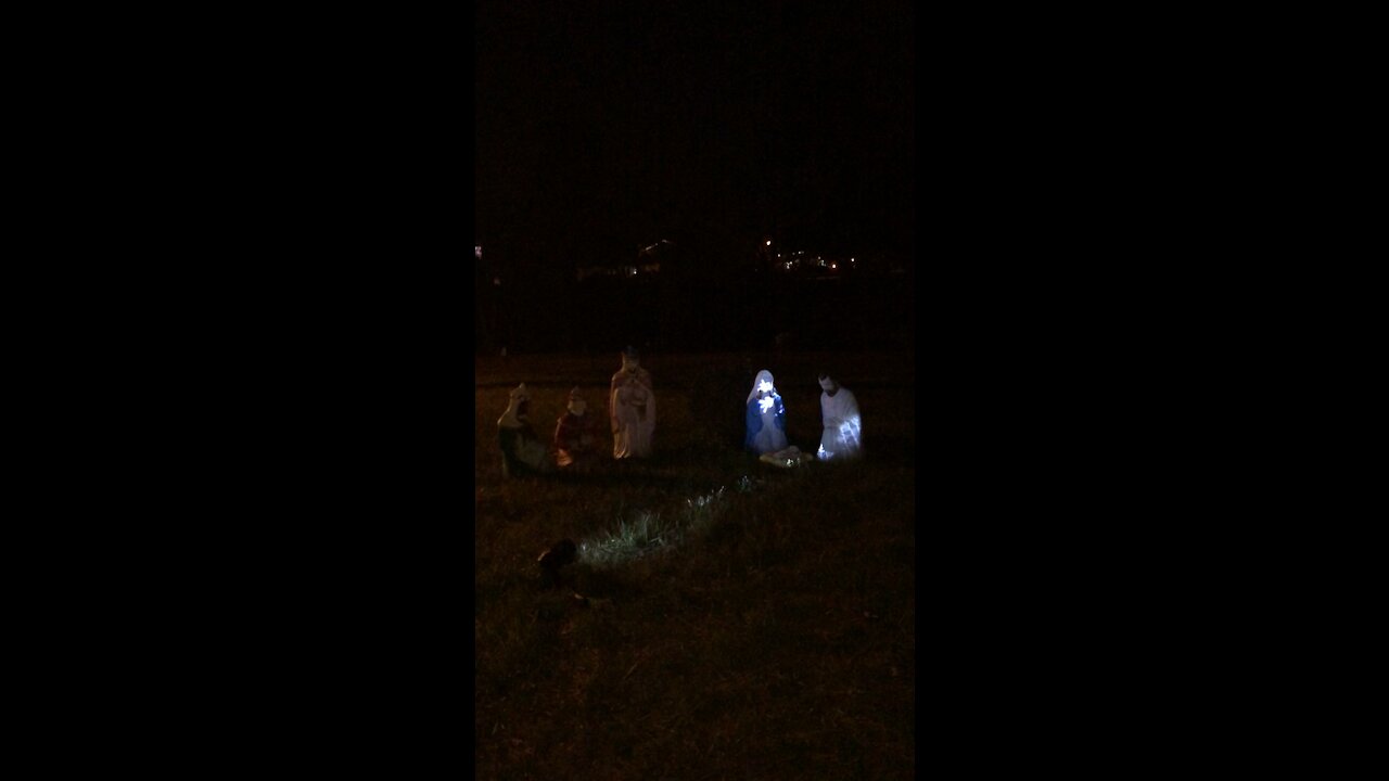 Nativity in front yard