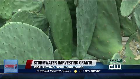 City awards grants to neighborhoods to increase stormwater harvesting